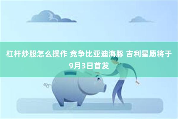 杠杆炒股怎么操作 竞争比亚迪海豚 吉利星愿将于9月3日首发