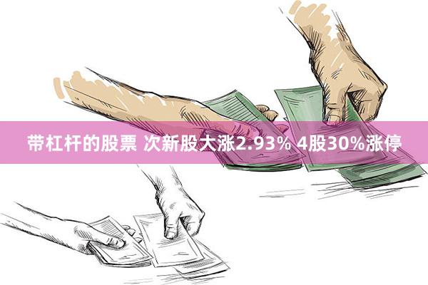 带杠杆的股票 次新股大涨2.93% 4股30%涨停