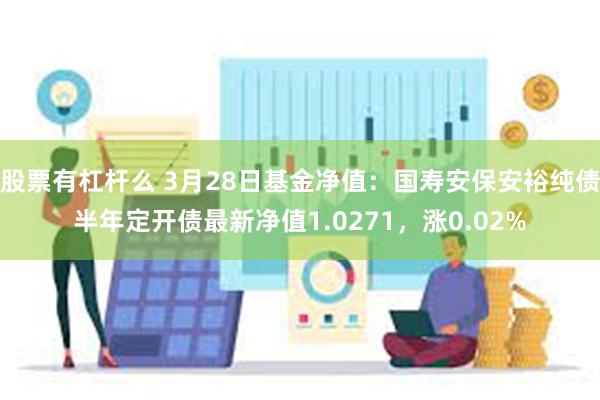 股票有杠杆么 3月28日基金净值：国寿安保安裕纯债半年定开债最新净值1.0271，涨0.02%