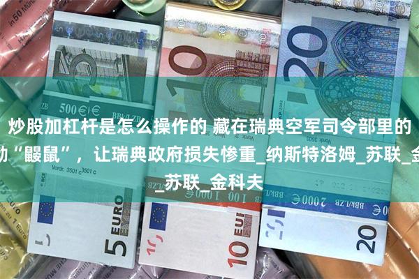 炒股加杠杆是怎么操作的 藏在瑞典空军司令部里的克格勃“鼹鼠”，让瑞典政府损失惨重_纳斯特洛姆_苏联_金科夫