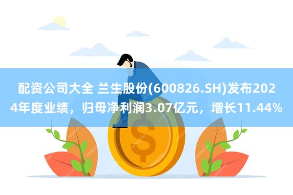 配资公司大全 兰生股份(600826.SH)发布2024年度业绩，归母净利润3.07亿元，增长11.44%