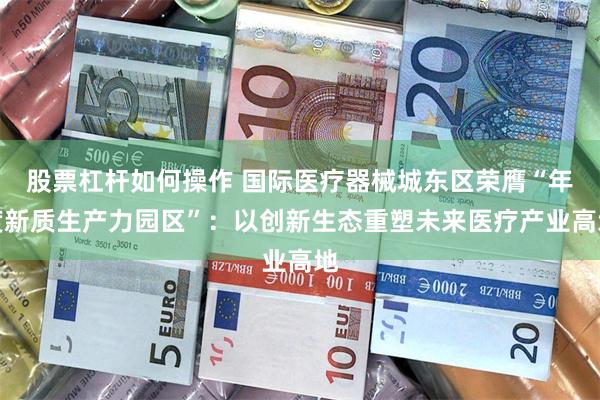股票杠杆如何操作 国际医疗器械城东区荣膺“年度新质生产力园区”：以创新生态重塑未来医疗产业高地