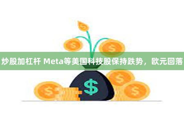 炒股加杠杆 Meta等美国科技股保持跌势，欧元回落