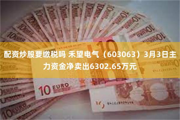 配资炒股要缴税吗 禾望电气（603063）3月3日主力资金净卖出6302.65万元