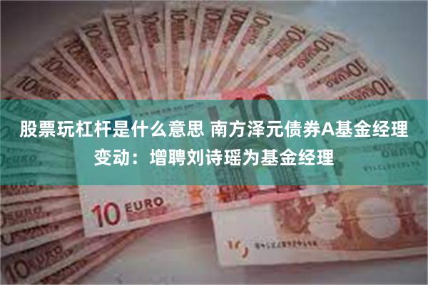 股票玩杠杆是什么意思 南方泽元债券A基金经理变动：增聘刘诗瑶为基金经理