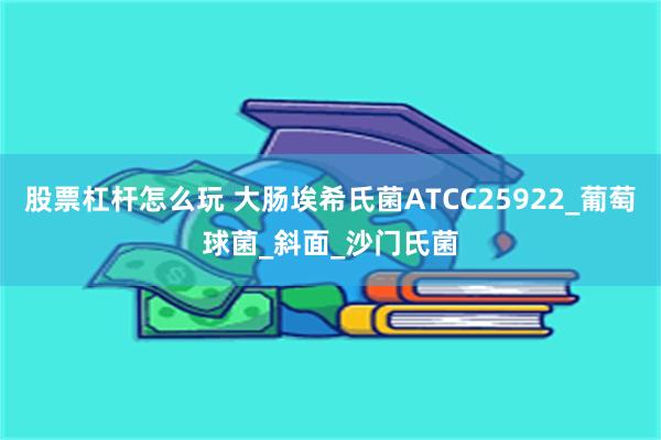 股票杠杆怎么玩 大肠埃希氏菌ATCC25922_葡萄球菌_斜面_沙门氏菌