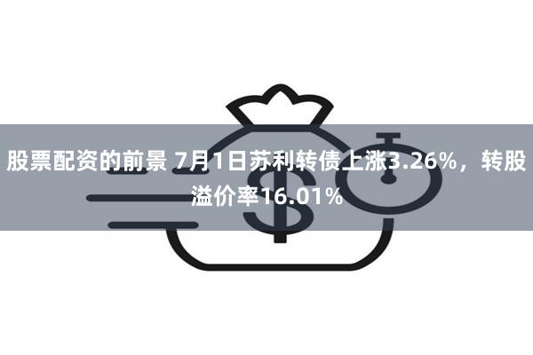 股票配资的前景 7月1日苏利转债上涨3.26%，转股溢价率16.01%