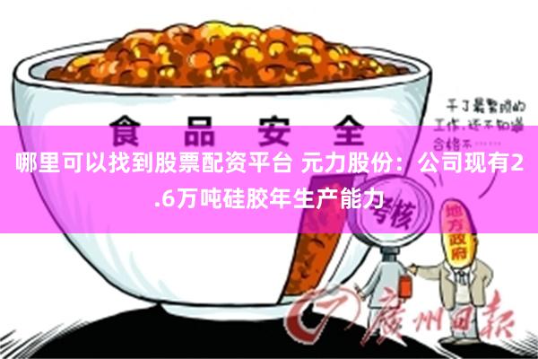 哪里可以找到股票配资平台 元力股份：公司现有2.6万吨硅胶年生产能力