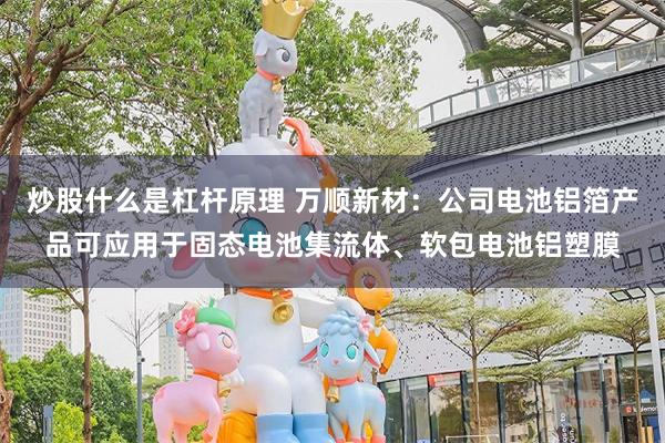 炒股什么是杠杆原理 万顺新材：公司电池铝箔产品可应用于固态电池集流体、软包电池铝塑膜