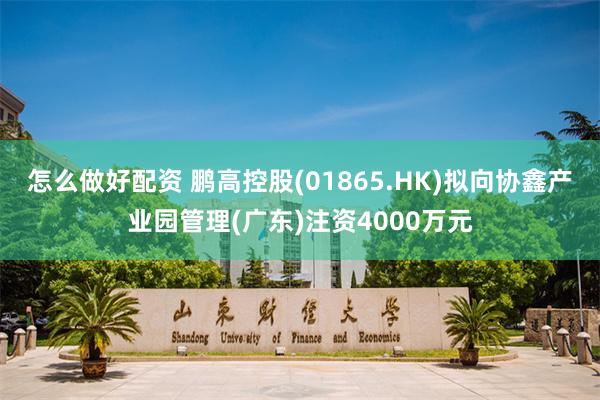 怎么做好配资 鹏高控股(01865.HK)拟向协鑫产业园管理(广东)注资4000万元