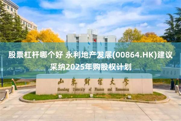 股票杠杆哪个好 永利地产发展(00864.HK)建议采纳2025年购股权计划