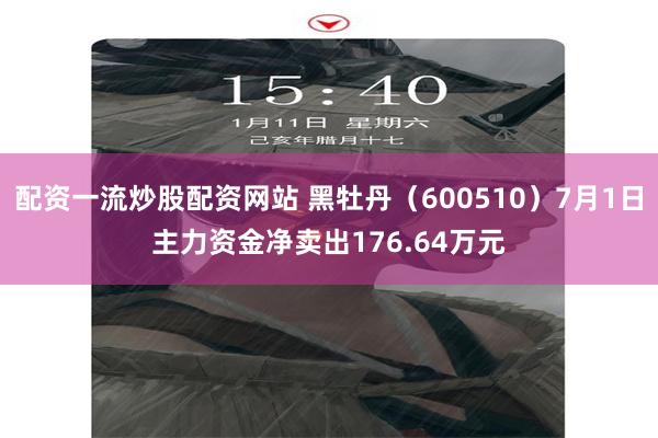配资一流炒股配资网站 黑牡丹（600510）7月1日主力资金净卖出176.64万元