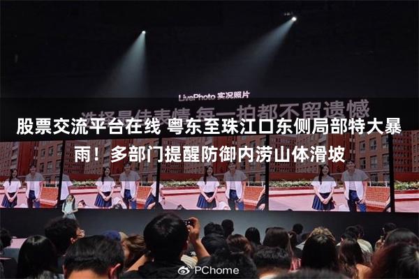 股票交流平台在线 粤东至珠江口东侧局部特大暴雨！多部门提醒防御内涝山体滑坡