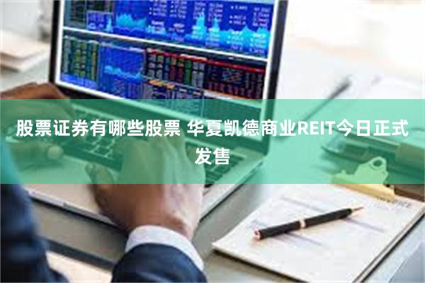 股票证券有哪些股票 华夏凯德商业REIT今日正式发售