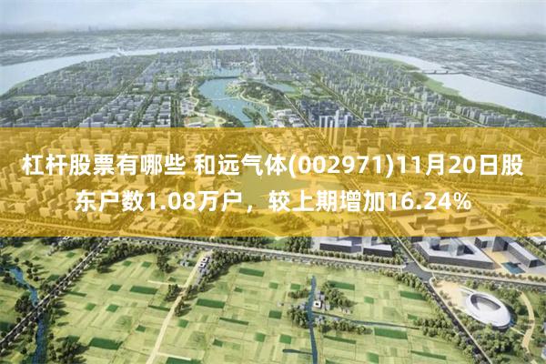杠杆股票有哪些 和远气体(002971)11月20日股东户数1.08万户，较上期增加16.24%