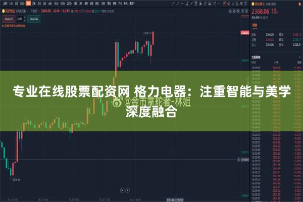 专业在线股票配资网 格力电器：注重智能与美学深度融合