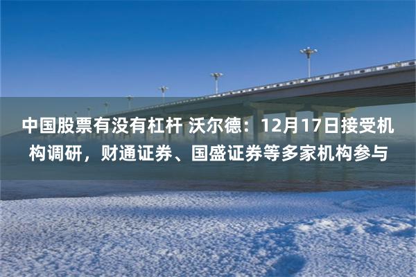 中国股票有没有杠杆 沃尔德：12月17日接受机构调研，财通证券、国盛证券等多家机构参与