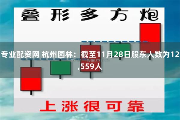 专业配资网 杭州园林：截至11月28日股东人数为12,559人