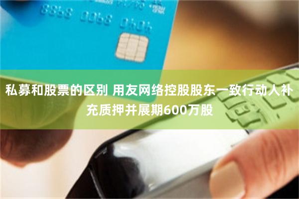 私募和股票的区别 用友网络控股股东一致行动人补充质押并展期600万股
