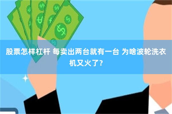 股票怎样杠杆 每卖出两台就有一台 为啥波轮洗衣机又火了？