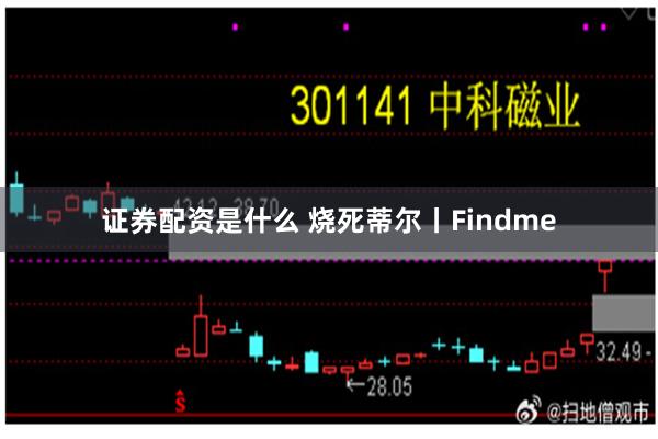 证券配资是什么 烧死蒂尔丨Findme