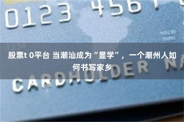 股票t 0平台 当潮汕成为“显学”,一个潮州人如何书写家乡