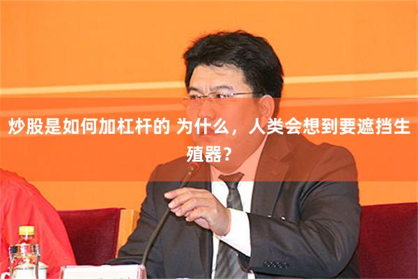 炒股是如何加杠杆的 为什么，人类会想到要遮挡生殖器？