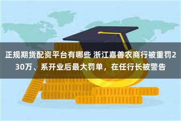 正规期货配资平台有哪些 浙江嘉善农商行被重罚230万、系开业后最大罚单,在任行长被警告