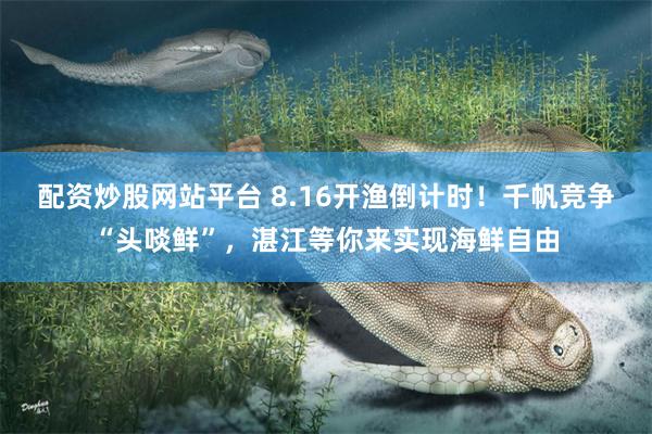 配资炒股网站平台 8.16开渔倒计时!千帆竞争“头啖鲜”,湛江等你来实现海鲜自由