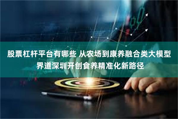 股票杠杆平台有哪些 从农场到康养融合类大模型 界道深圳开创食养精准化新路径