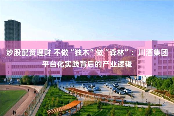 炒股配资理财 不做“独木”做“森林”：川酒集团平台化实践背后的产业逻辑