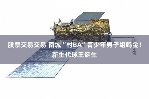 股票交易交易 南城“村BA”青少年男子组鸣金！新生代球王诞生