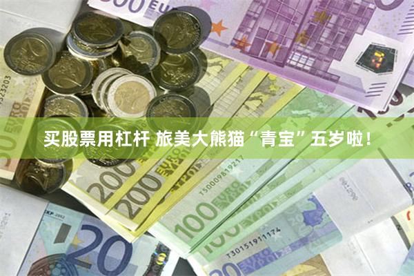 买股票用杠杆 旅美大熊猫“青宝”五岁啦!