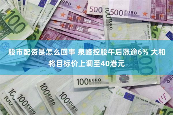 股市配资是怎么回事 泉峰控股午后涨逾6% 大和将目标价上调至40港元