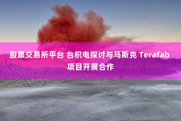 股票交易所平台 台积电探讨与马斯克 Terafab 项目开展合作