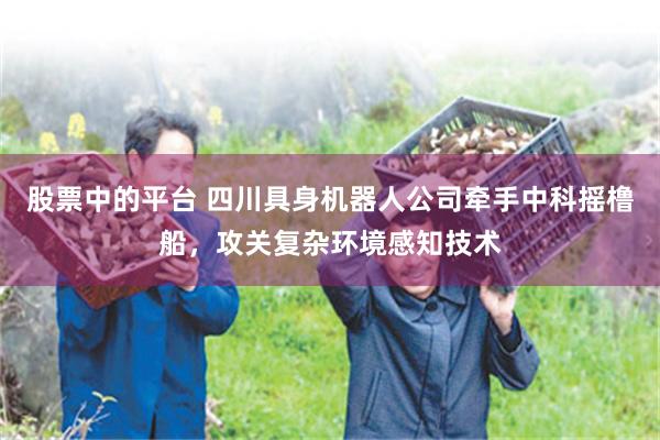 股票中的平台 四川具身机器人公司牵手中科摇橹船,攻关复杂环境感知技术
